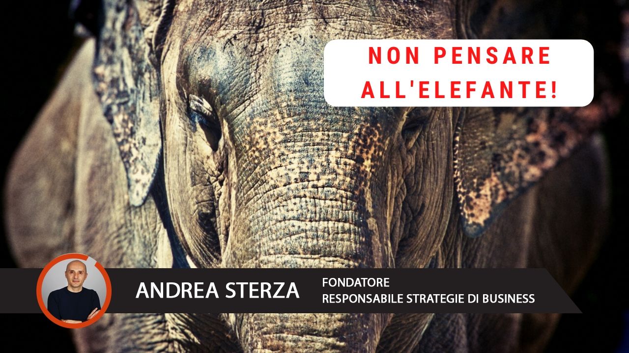 Andrea Sterza - Monitoro - Assistenza Informatica per aziende