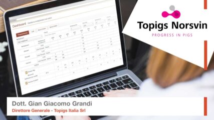 Topigs norsvin - software custom - monitoro srl