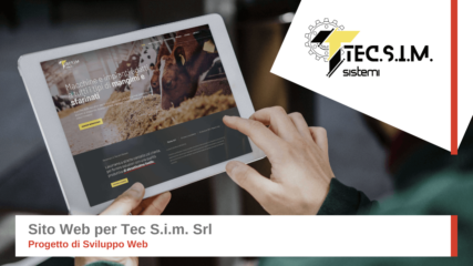 sviluppo-sito-web-tecsim-monitoro-azienda-informatica-web-agency-cremona